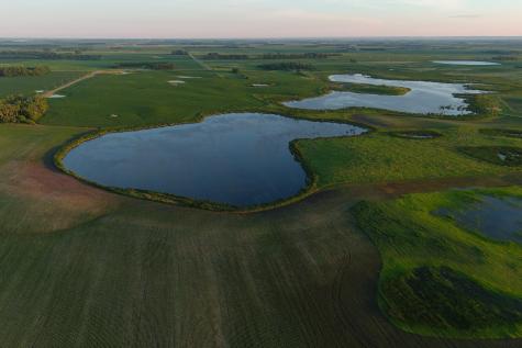 Tbd County Road 1 Hankinson ND 58041