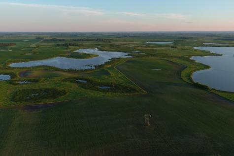 Tbd County Road 1 Hankinson ND 58041