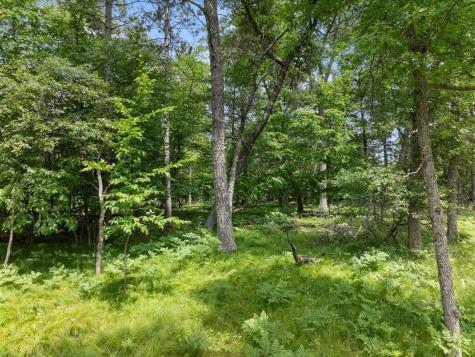 24601 Perrin Point Nisswa MN 56468