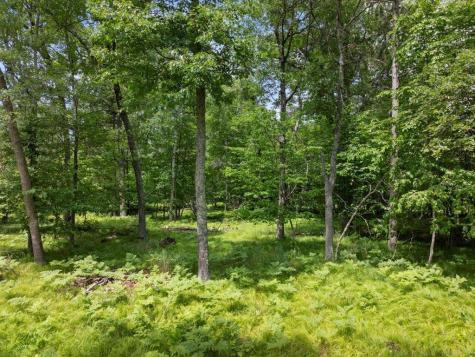 24601 Perrin Point Nisswa MN 56468
