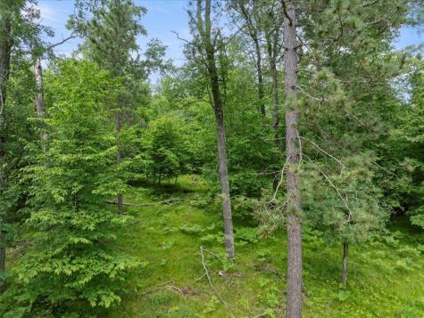 24601 Perrin Point Nisswa MN 56468