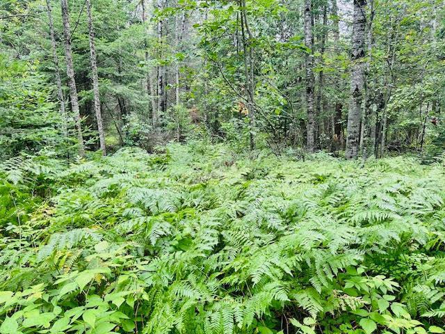 51801 Townhall Road Squaw Lake MN 56681