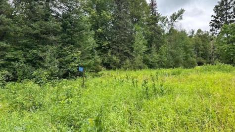 51801 Townhall Road Squaw Lake MN 56681