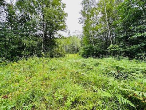 51801 Townhall Road Squaw Lake MN 56681