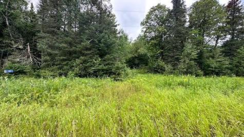 51801 Townhall Road Squaw Lake MN 56681