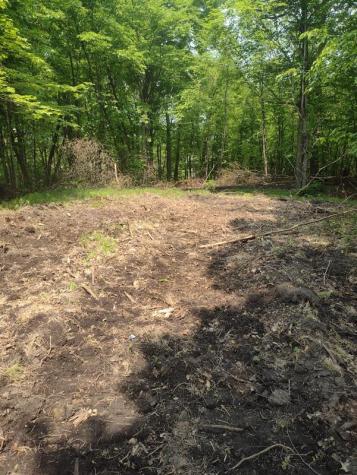 Lot 5 Block 2 Crystal Beach Road Pelican Rapids MN 56572