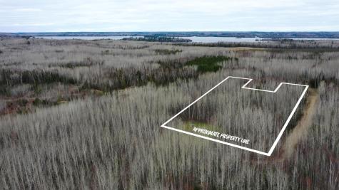 TBD Parcel 20 Highway 115 Tower MN 55790