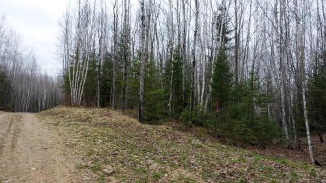 TBD Parcel 20 Highway 115 Tower MN 55790
