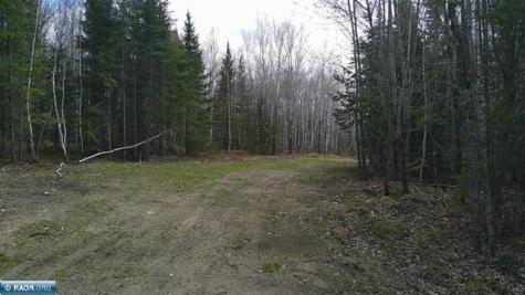 TBD Parcel 20 Highway 115 Tower MN 55790