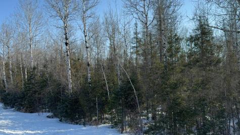 Xxx Highway 12 Two Harbors MN 55616