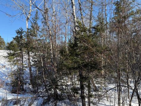 Xxx Highway 12 Two Harbors MN 55616