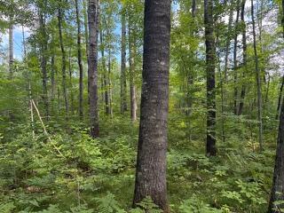 64838 Kingsdale Road Sandstone MN 55072