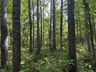 64838 Kingsdale Road Sandstone MN 55072