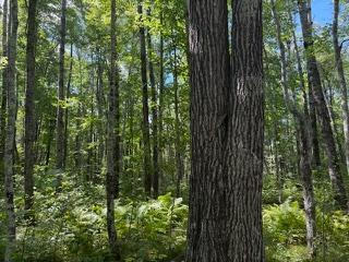 64838 Kingsdale Road Sandstone MN 55072