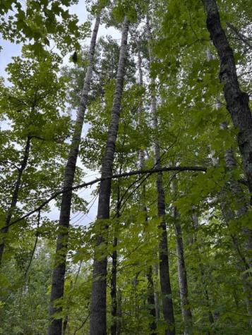 64838 Kingsdale Road Sandstone MN 55072