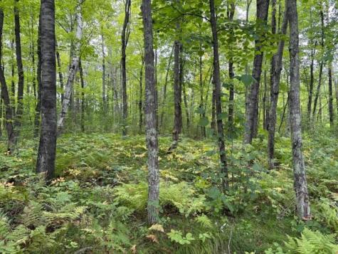 64838 Kingsdale Road Sandstone MN 55072