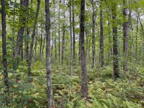 64838 Kingsdale Road Sandstone MN 55072