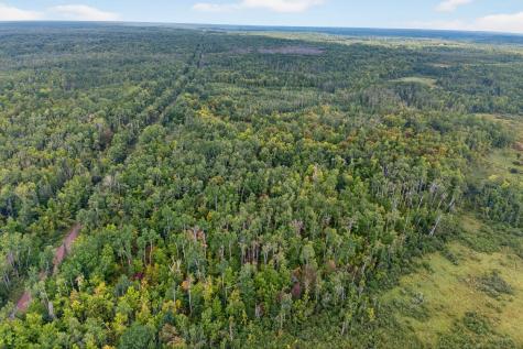 64838 Kingsdale Road Sandstone MN 55072