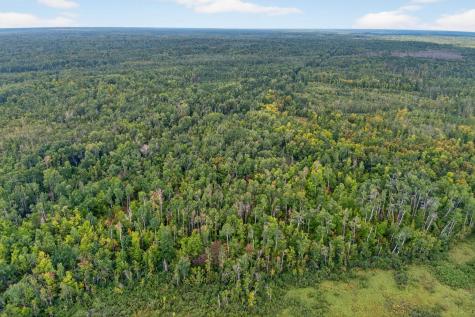 64838 Kingsdale Road Sandstone MN 55072