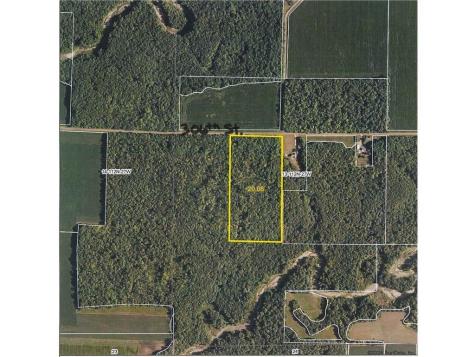 Tbd 306th Street Henderson MN 56044