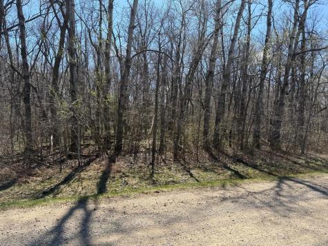 Tbd 306th Street Henderson MN 56044