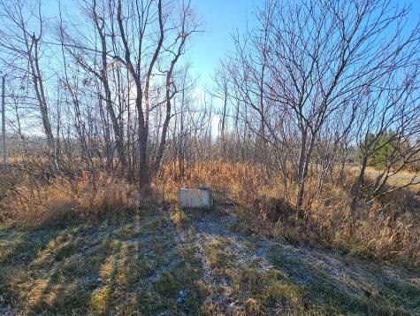 Tbd Whistle Road/hwy 47 Isle MN 56342