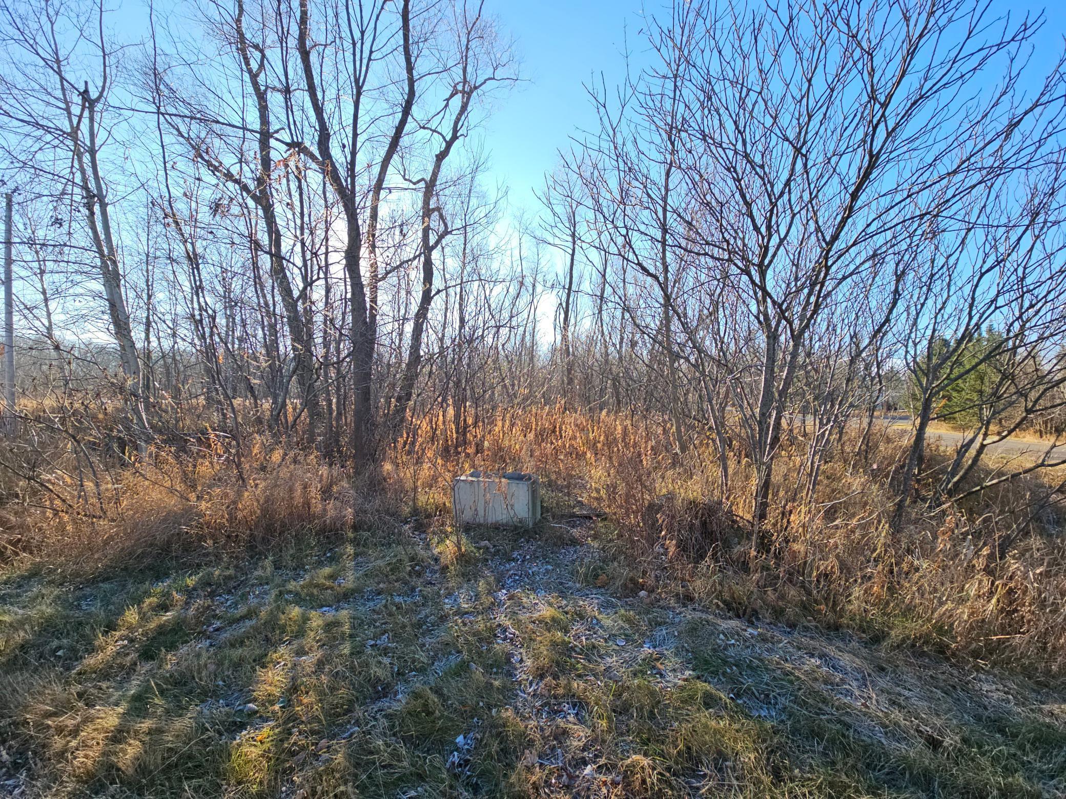 Tbd Whistle Road/hwy 47 Isle MN 56342
