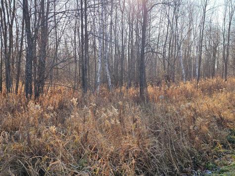 Tbd Whistle Road/hwy 47 Isle MN 56342