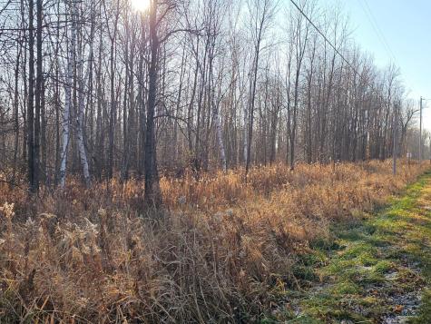 Tbd Whistle Road/hwy 47 Isle MN 56342