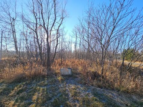 Tbd Whistle Road/hwy 47 Isle MN 56342