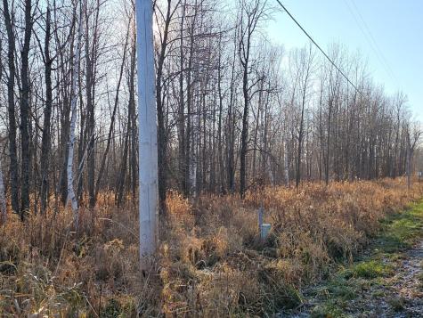 Tbd Whistle Road/hwy 47 Isle MN 56342
