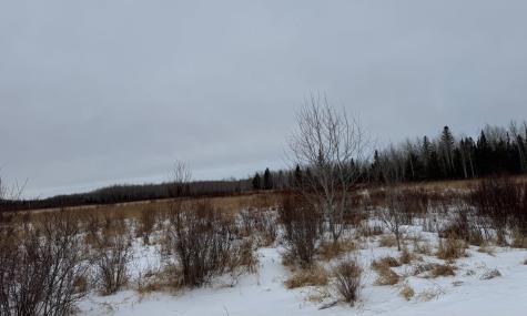Tbd White Road Mountain Iron MN 55768