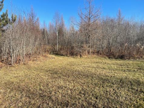 13994 County Road 425 Wawina MN 55736