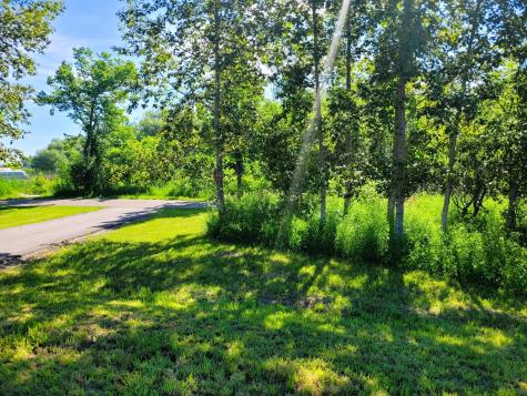 Lots 5 & 6 Branch Creek Road Detroit Lakes MN 56501