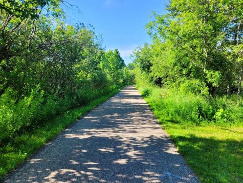 Lots 5 & 6 Branch Creek Road Detroit Lakes MN 56501