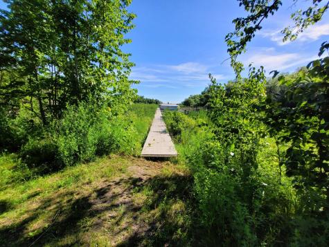 Lots 5 & 6 Branch Creek Road Detroit Lakes MN 56501