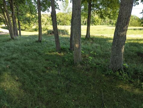 Lot 18 SE Old Lake Road Osakis MN 56360