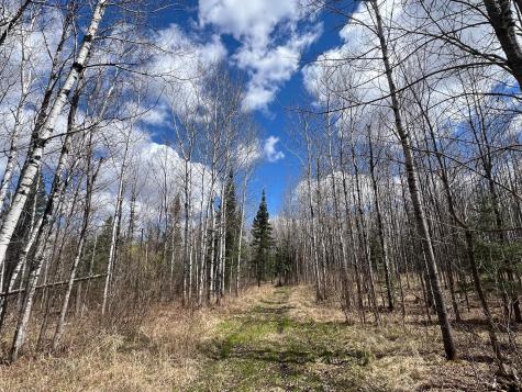 5303 Markham Road Makinen MN 55763