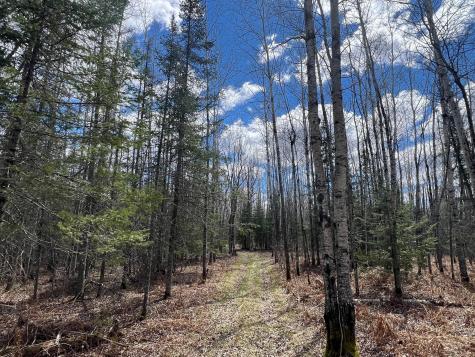 5303 Markham Road Makinen MN 55763