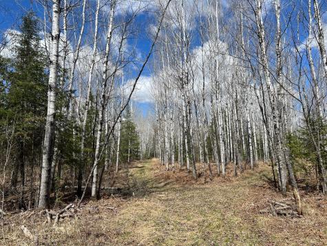 5303 Markham Road Makinen MN 55763