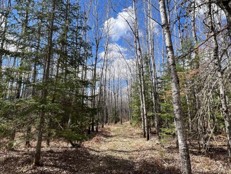 5303 Markham Road Makinen MN 55763