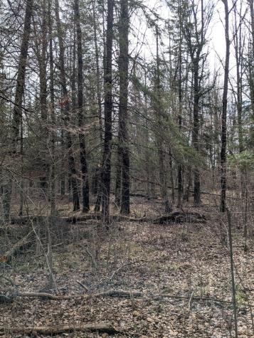 1102 W County Line Road Tamarack MN 55787