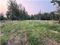 1102 W County Line Road Tamarack MN 55787