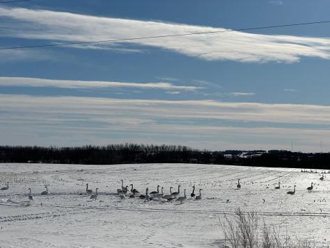 Tbd County Highway 10 Fergus Falls MN 56537