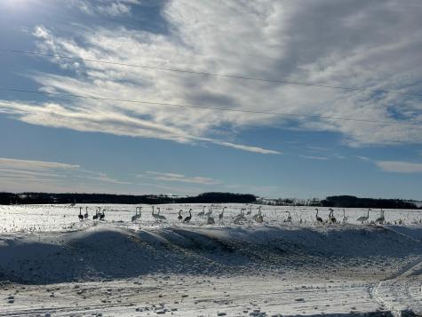 Tbd County Highway 10 Fergus Falls MN 56537
