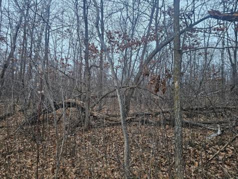 Tbd County Road 30 Aitkin MN 56431
