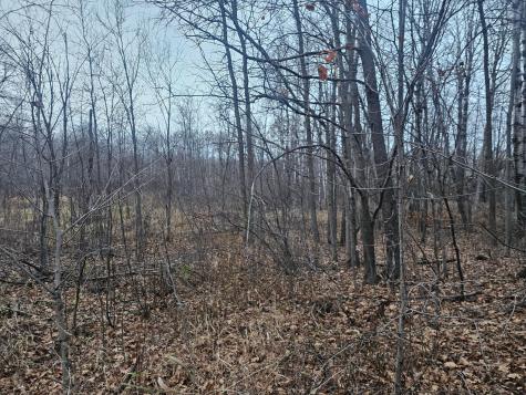 Tbd County Road 30 Aitkin MN 56431