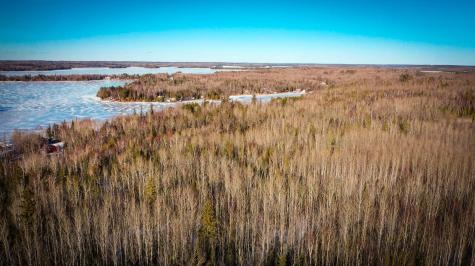 Tbd Parcel S Thomas Road Tower MN 55790