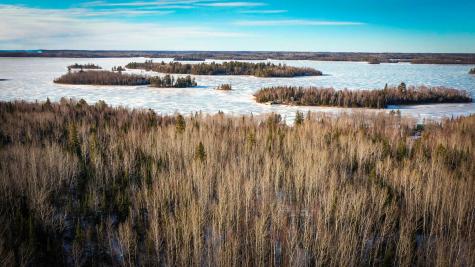 Tbd Parcel S Thomas Road Tower MN 55790