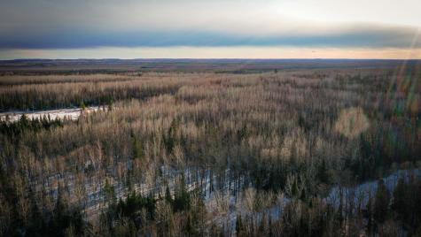 Tbd Parcel S Thomas Road Tower MN 55790